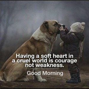 Meet your Posher, Yogi